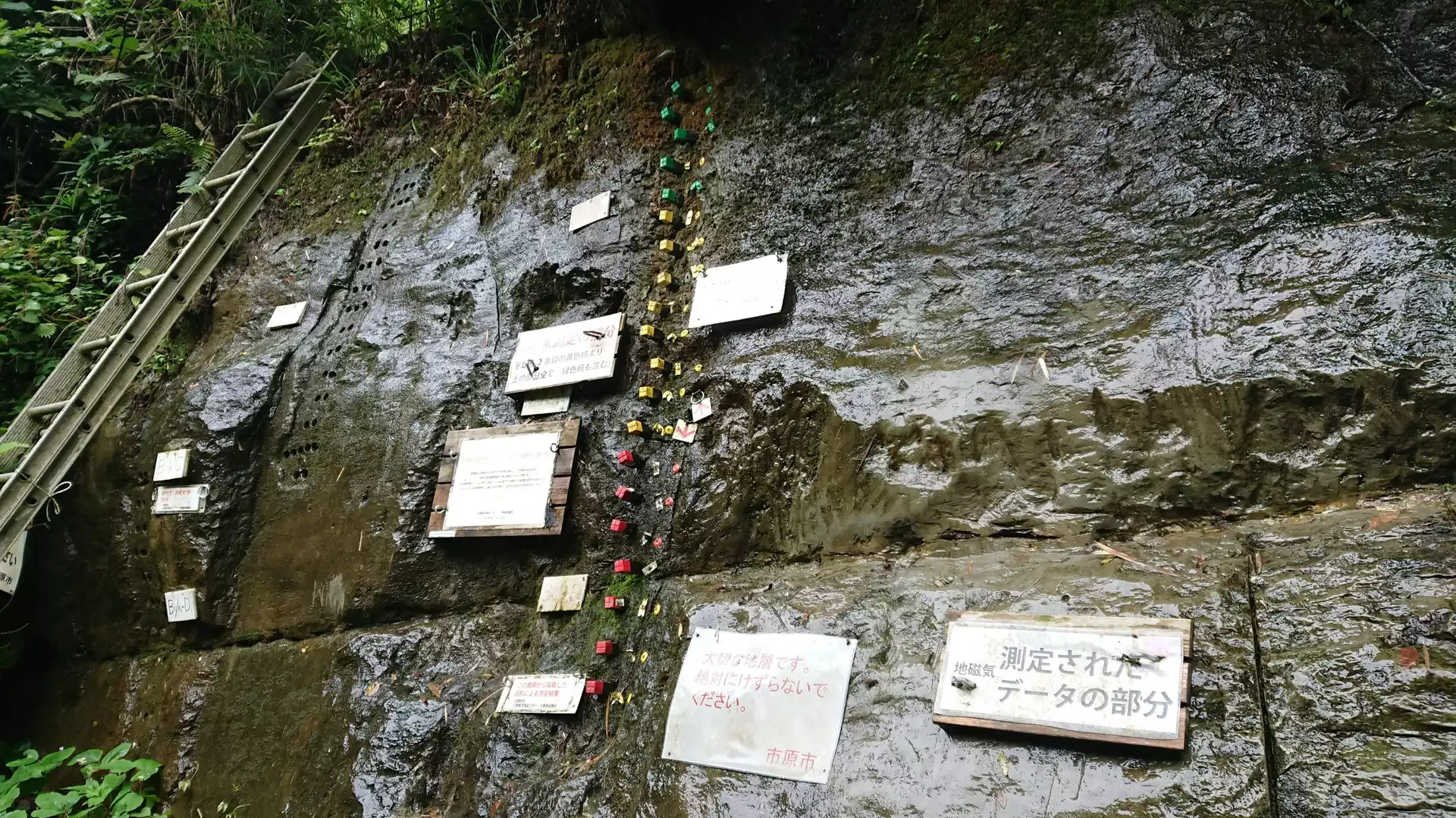 粟又の滝ライトアップ建築外構・景観演出 ライトアップ納入事例岩崎電気