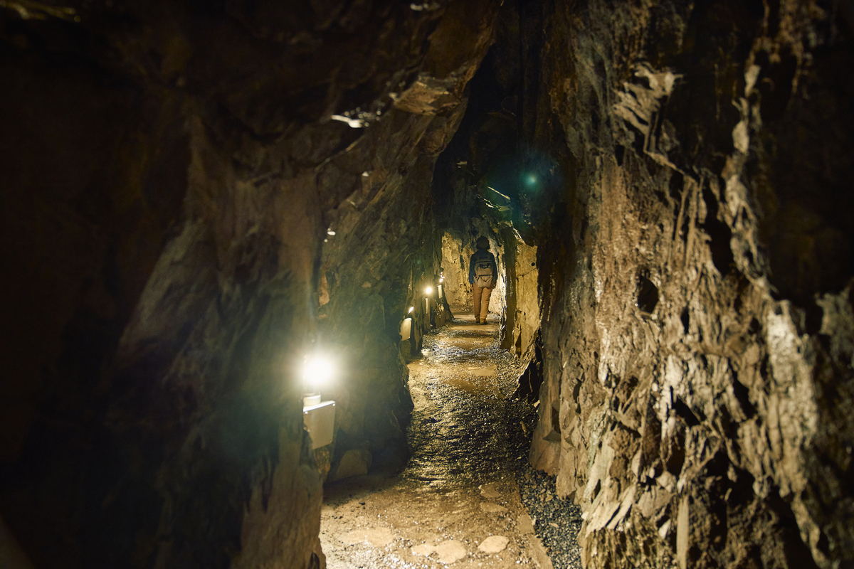 東京・奥多摩「日原鍾乳洞」で洞窟探検！所要時間やアクセス、おすすめランチも！るるぶKids