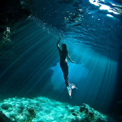 人魚 ニンギョ 」の意味や使い方 わかりやすく解説 Weblio辞書