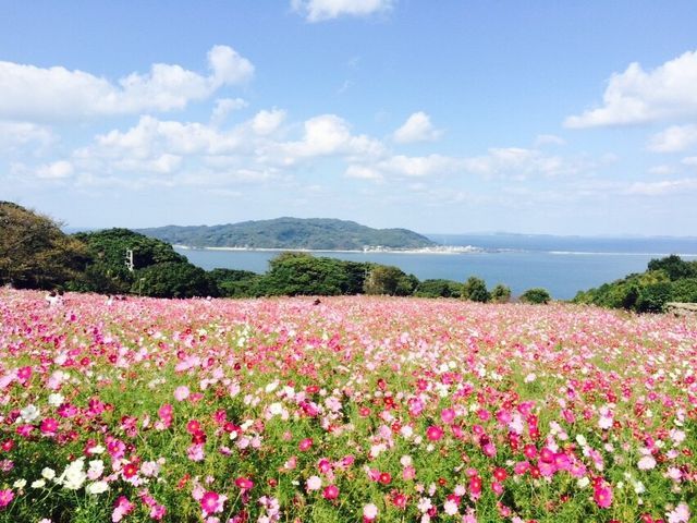 能古島 のこのしまアイランドパークへの行き方と楽しみ方離島ガイド