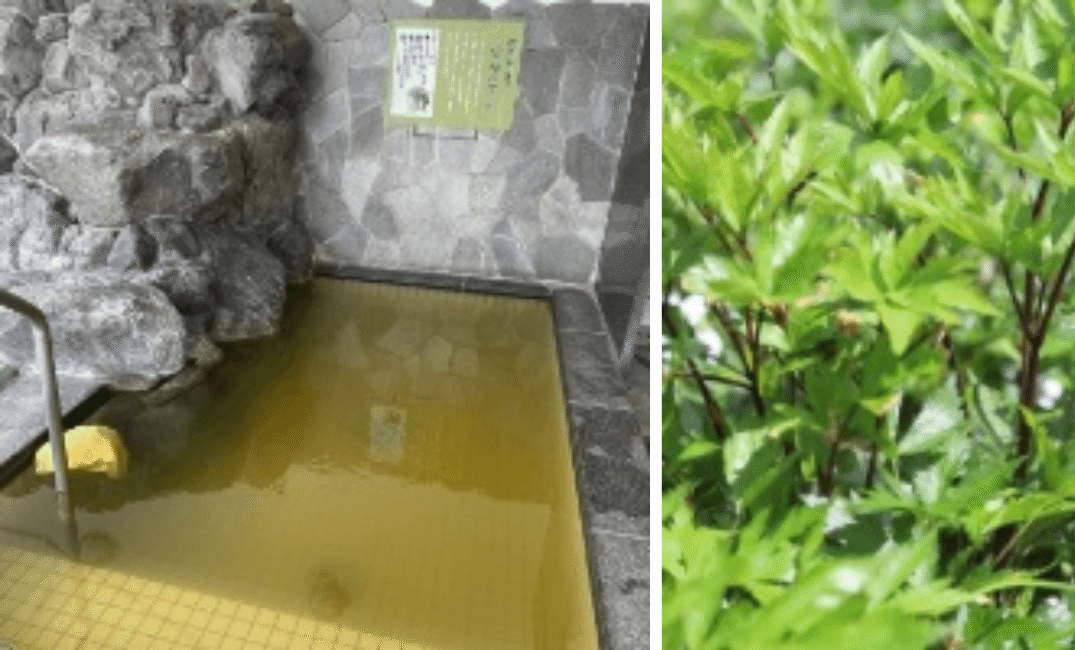 クーポンあり 奈良線 京都府 周辺の温泉、日帰り温泉、スーパー銭湯