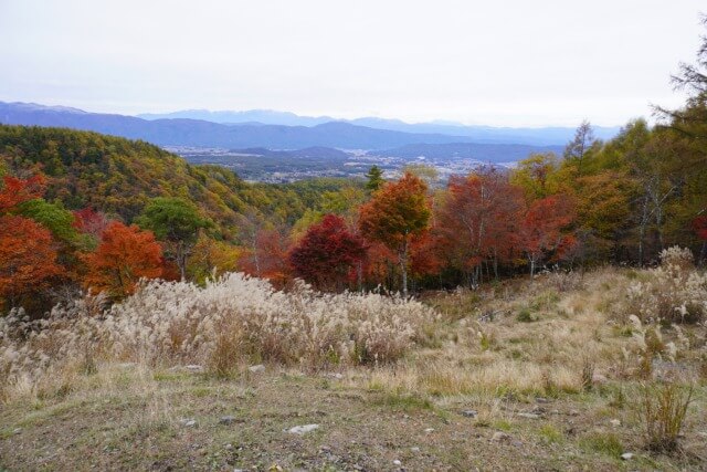 蓼科山荘の最新情報