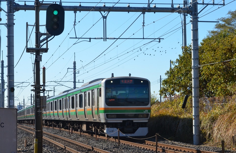 順光のヒガハスでカシ返を撮影！ - Rの日常写真館