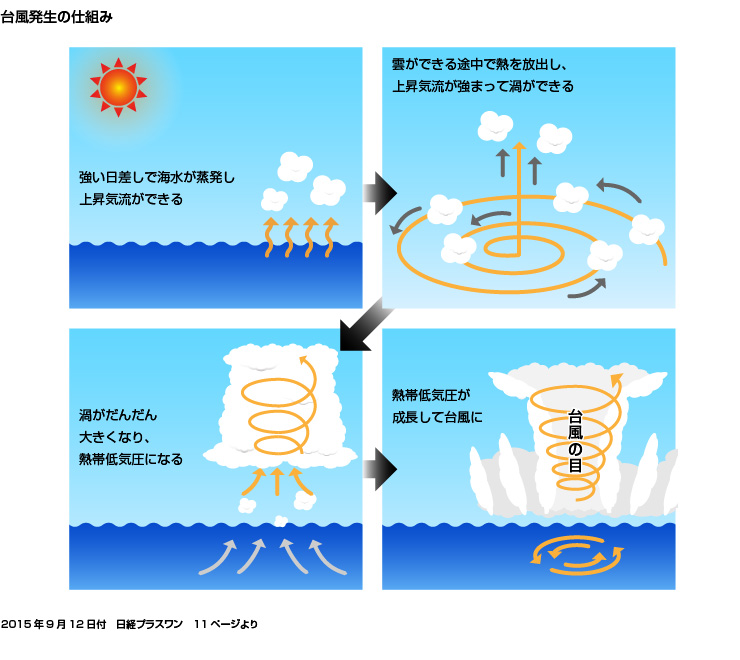 台風の強い風と雨NHK for School