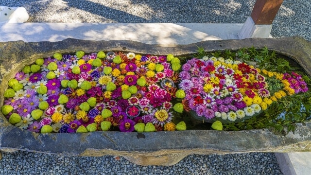 お花を通じた素敵な出会い〜スイス・チューリッヒ〜 - 世界の花屋 フラワーギフト おしゃれな花の通販サイト