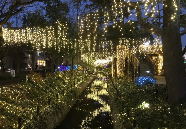 2025 4 27㊐ ☆カレーと本と☆