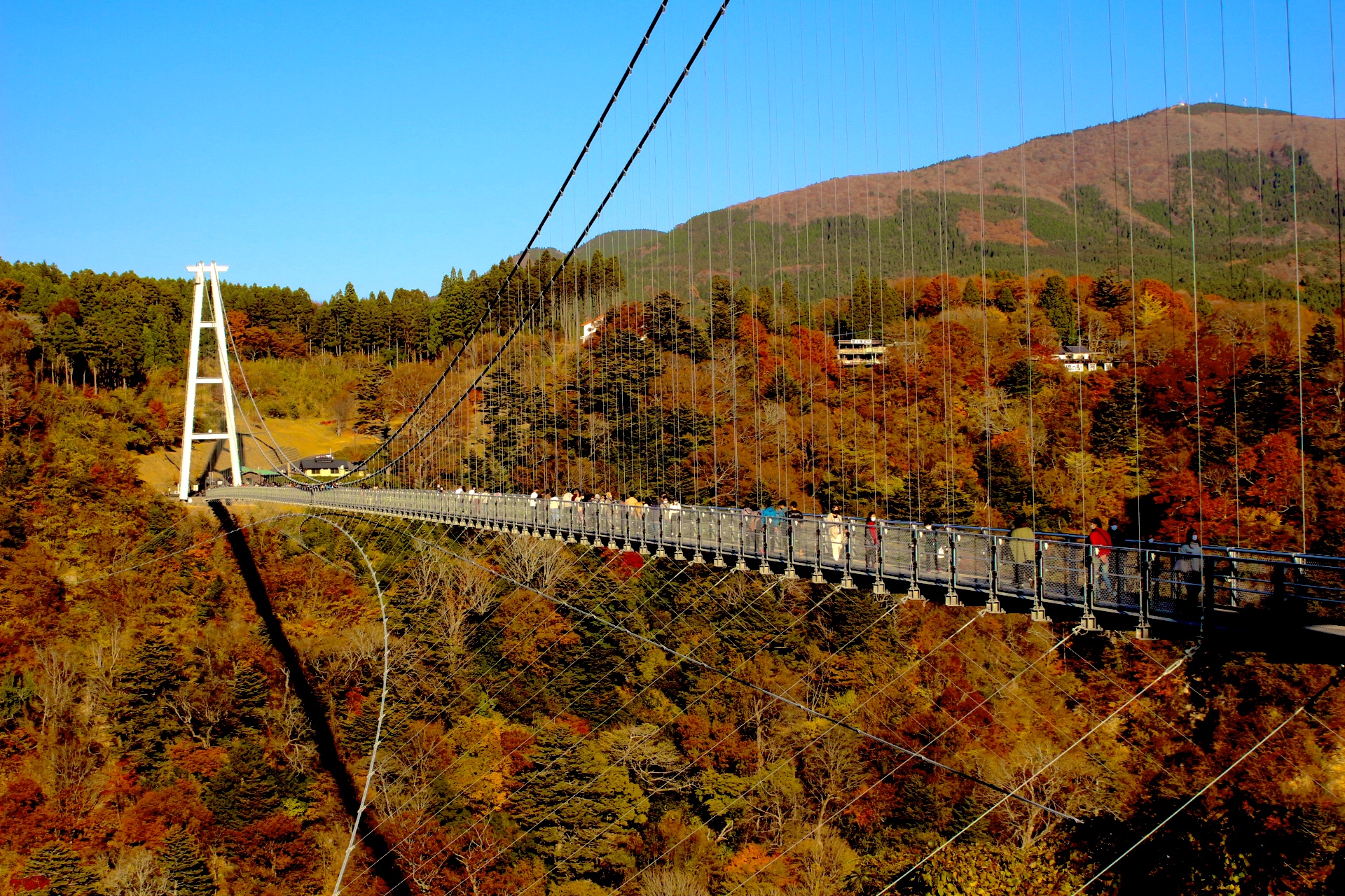遊九州 九重”夢”大吊橋．用夢想打造的日本第一高人行步道吊橋！ @壞波妞の旅行食踨