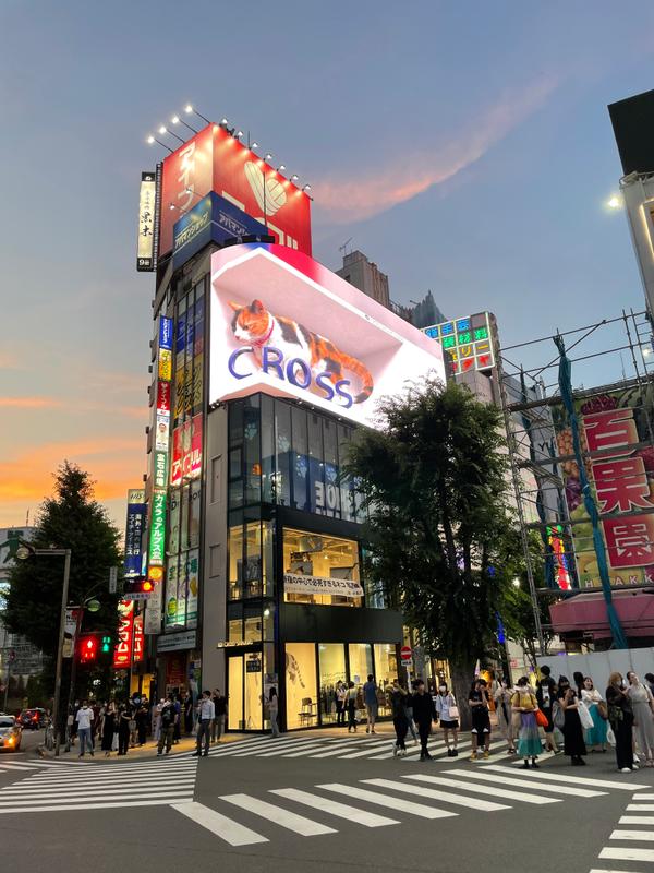 新宿西口思い出横丁の看板 写真素材4305694- フォトライブラリ