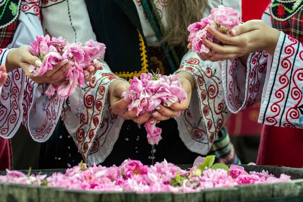 カザンラクでバラ祭とバラ摘み体験満喫！ブルガリアローズツア