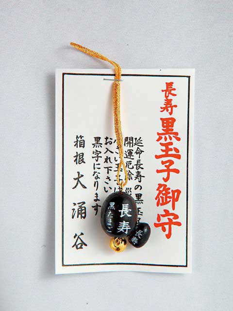 大涌谷の見所と魅力とは ＜黒たまごや駐車場は？＞ – 歩いてみたブログ