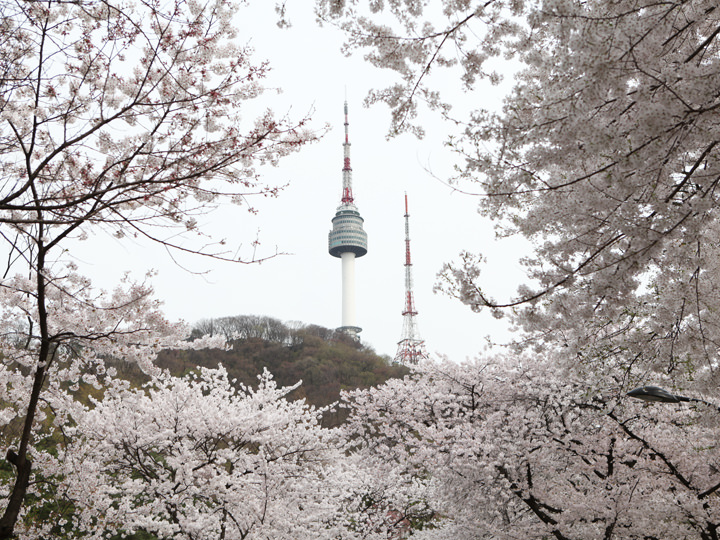 サムスン階段』行き方記載 南山公園 大階段 に行ってきました！新 貴公子・美しき日々