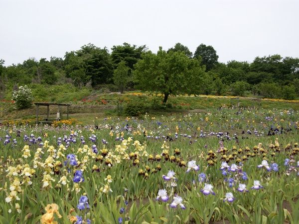どこかにビューーン！」安中榛名当選体験記芝旗瑞花