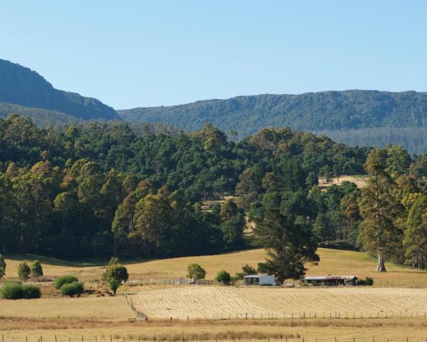 タスマニア観光のおすすめスポット11選！定番から穴場まで幅広く紹介VELTRA旅行ガイド