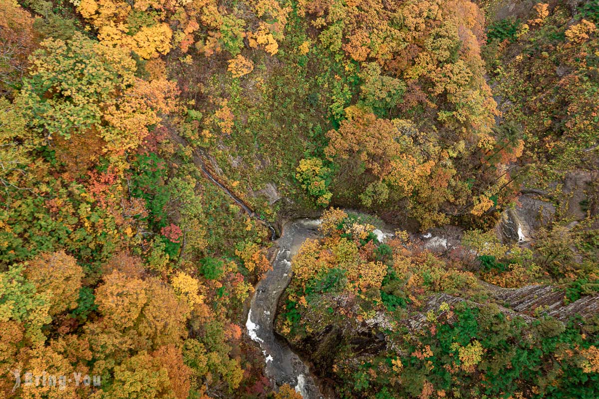 青森縣超震撼紅葉景點 城倉大橋：交通方式& 一日遊行程安排建議 BringYou