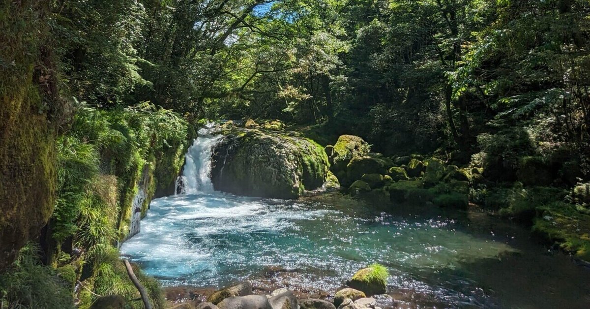 熊本の川下り・ライン下り・Eボートのアクティビティ・遊び・体験・レジャーの格安予約アクティビティジャパン日帰り旅行