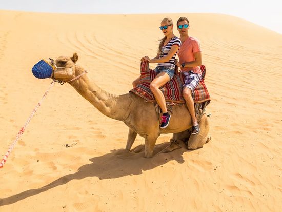 デザートサファリ 砂漠ツアーアブダビ 旅行の観光・オプショナルツアー予約