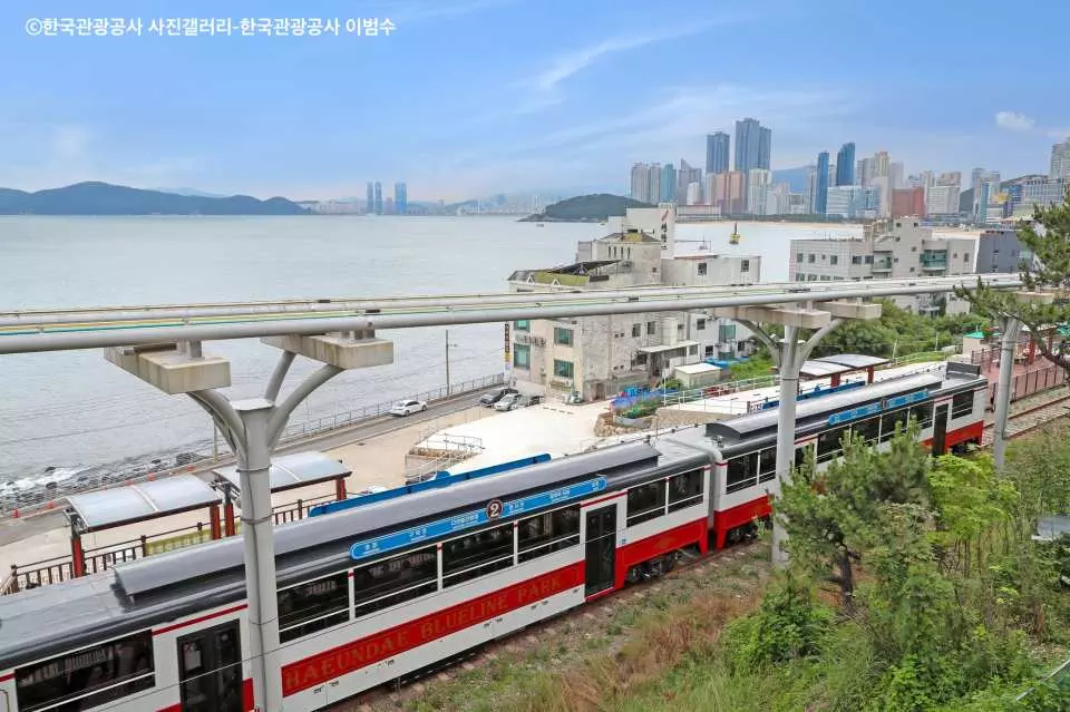 釜山1日目 人気の海東龍宮寺・海雲台ブルーラインを観光！サムギョプサルのお店「후발대 フバルテ 」は有名店だった!!!パイロットの旦那観察日記