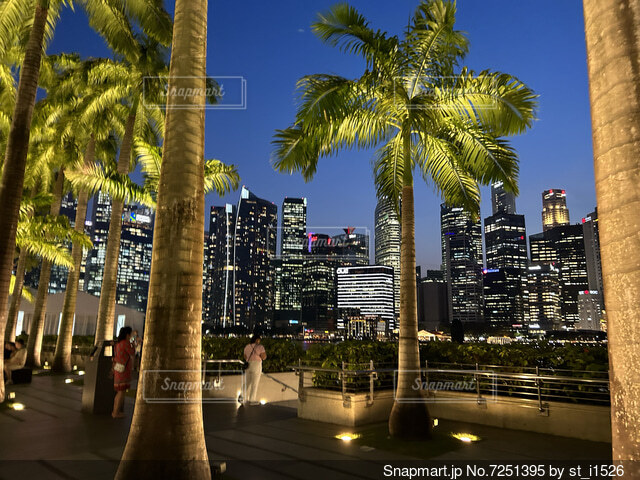 美しく現代的なシンガポールの街並み写真素材1428178505Shutterstock