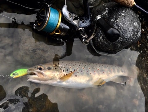 ＡＤＡＭＳホームページ：渓流遡行ガイド 長野県川上地区 梓川