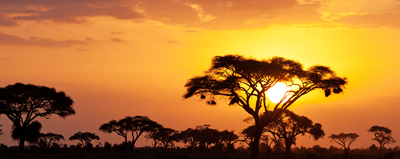 ケニア・アドベンチャーサファリとサバンナの休日 - 海外の登山ツアー・山歩きツアー 絶景の大自然トレッキング旅行 世界遺産のハイキング