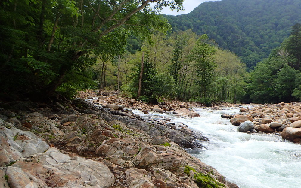 シアトル・タコマ国際空港乗り換え！ひなたび～世界一周写真ブログ～
