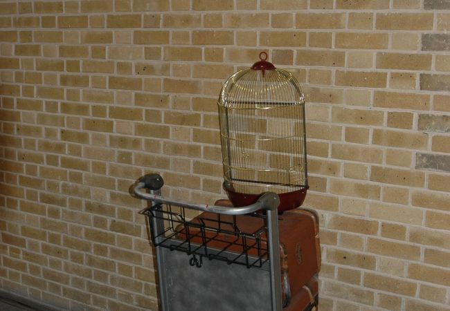 おしゃれ キャンプ 超軽量 設置楽らく