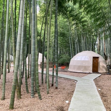 THE FOREST ザ フォレスト