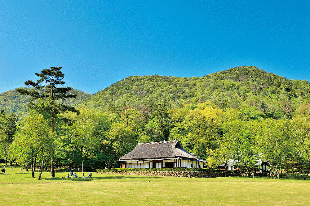 老後に田舎暮らしをするなら！移住の前にチェックしておきたいポイントHIBISU ハイビス