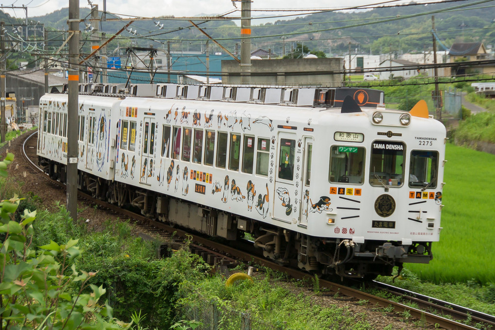 わかやま電鉄貴志川線 2 「いちご電車」と「たま駅長」和歌山県和歌山市～紀の川市: ゆる山☆湯ったり☆ぶらり旅 ゆゆぶ