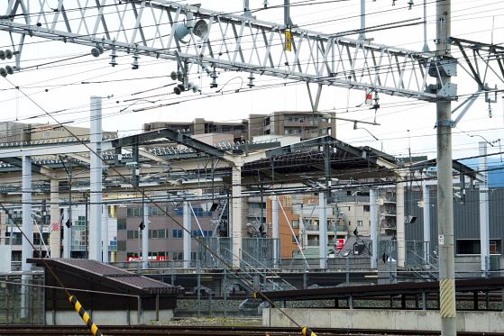 東大陸に中規模な神社を作る3: マインクラフトてんやわんや開拓記