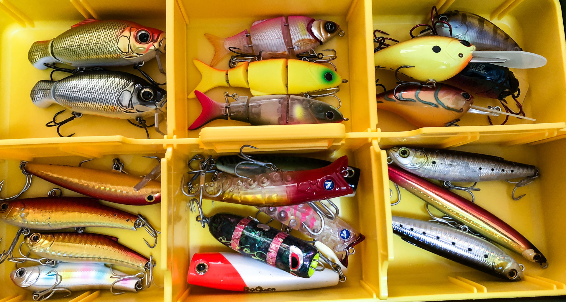 石垣島マングローブカヤック＆ジャングル探検フィールドネイチャー石垣島沖楽