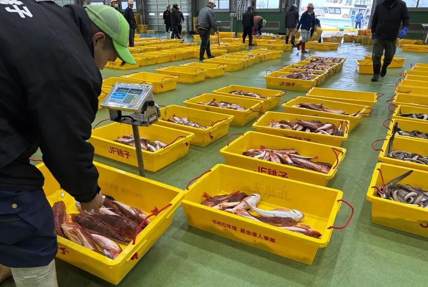 銚子漁港は水揚げ量8年連続日本一！漁場が豊かな銚子がすごい！ - まっぷるウェブ