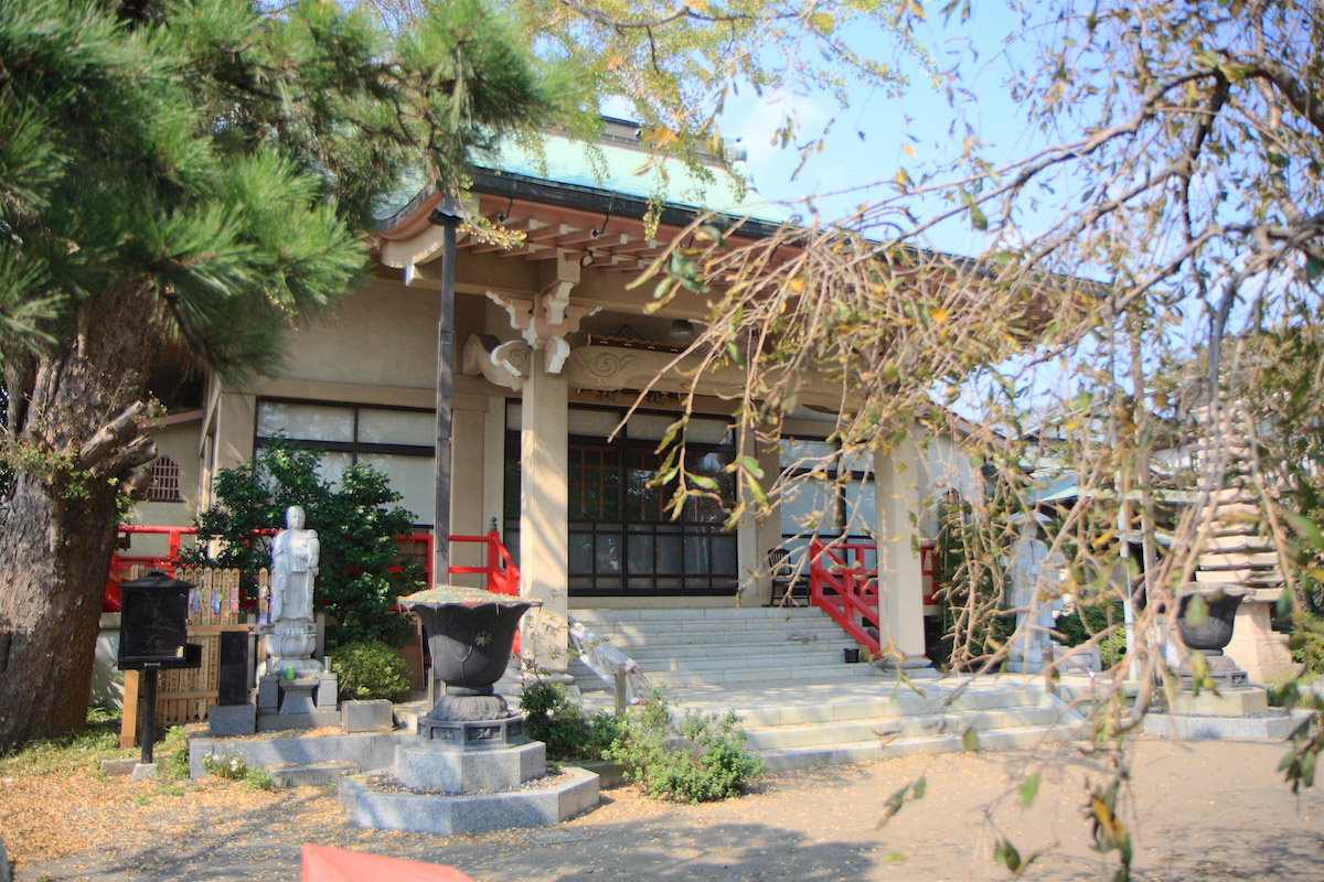 辻堂観光で外せないおすすめスポット12選！モデルコースも紹介NEWT ニュート