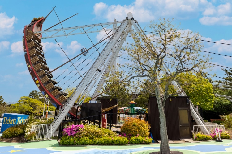 これがブルーフォールだ