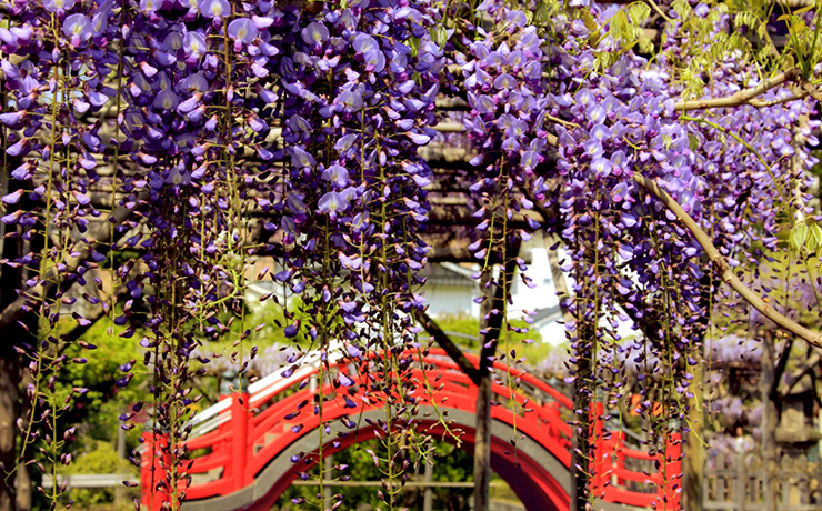 終了 うそ替え神事亀戸天神社イベント江東おでかけ情報局