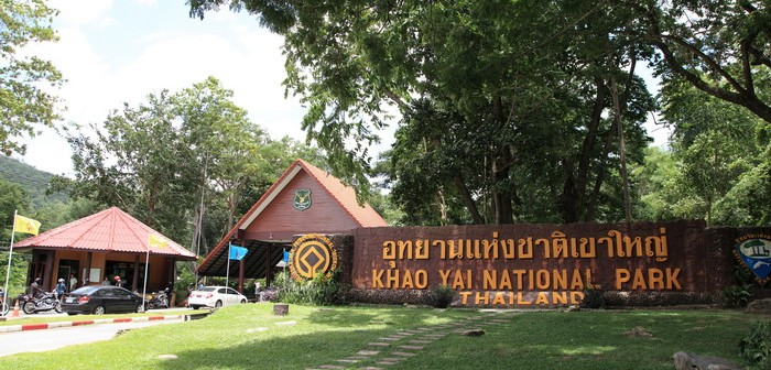 バンコク発・カオヤイ プライベートカスタムツアー 国立公園+パリオビレッジ+チョクチャイファームほかKlook