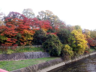ちはやふる』と竜田揚げ - 紀行歴史遊学
