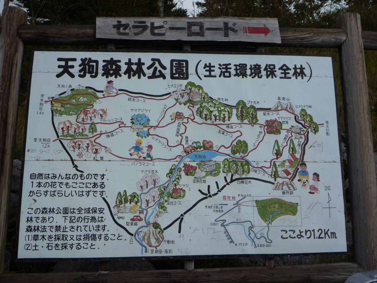 四国カルスト・天狗高原 高知県- -徹底解説-