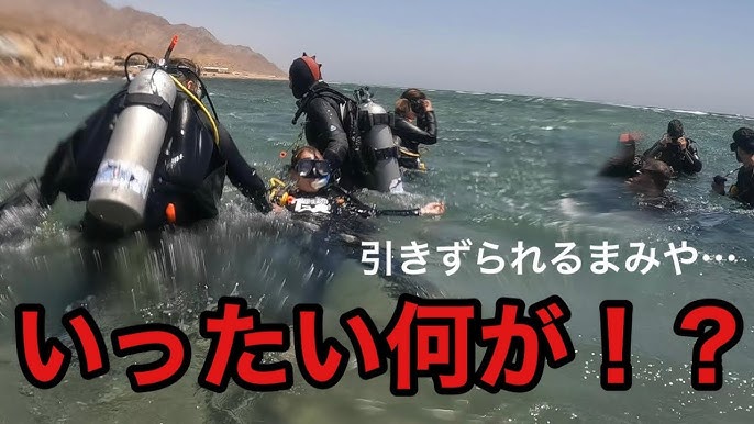 バックパッカーの沈没地 ダハブでダイビングTrip.com ダハブ