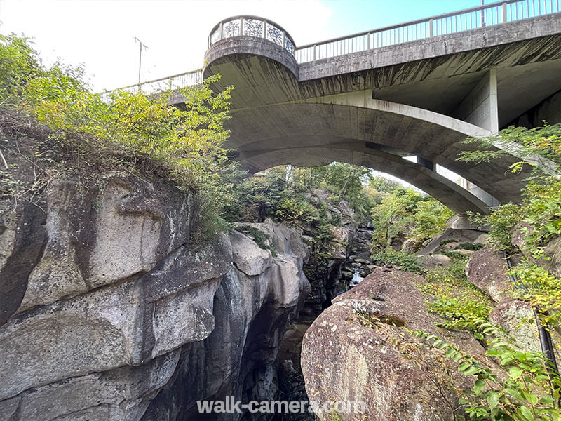 プチ家族旅行で、愛犬レアも一緒に『R with dog』へ☆約束の地へ Love＆Peace