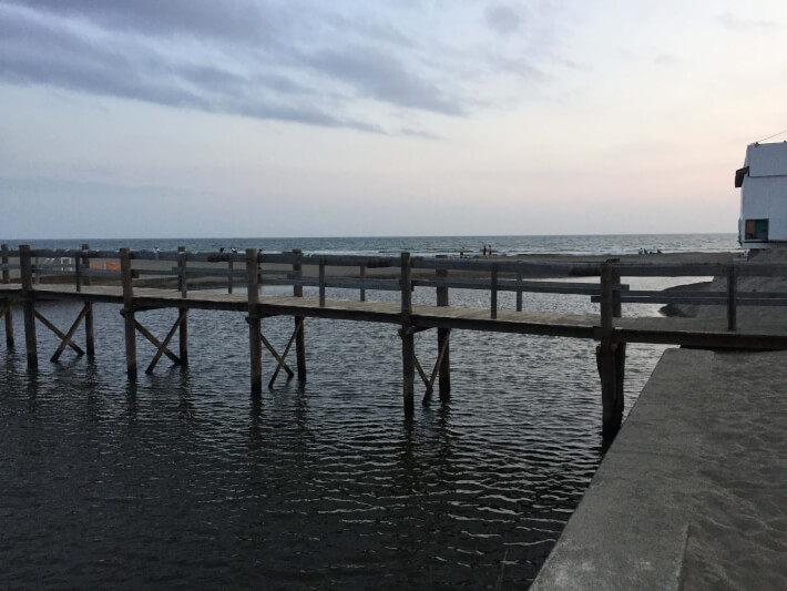 滑川漁港の釣り場情報魚速報