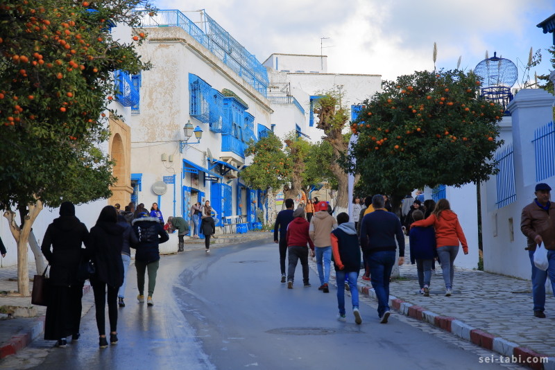 2024年5月 チュニジア 女一人旅①』チュニジアの旅行記・ブログ