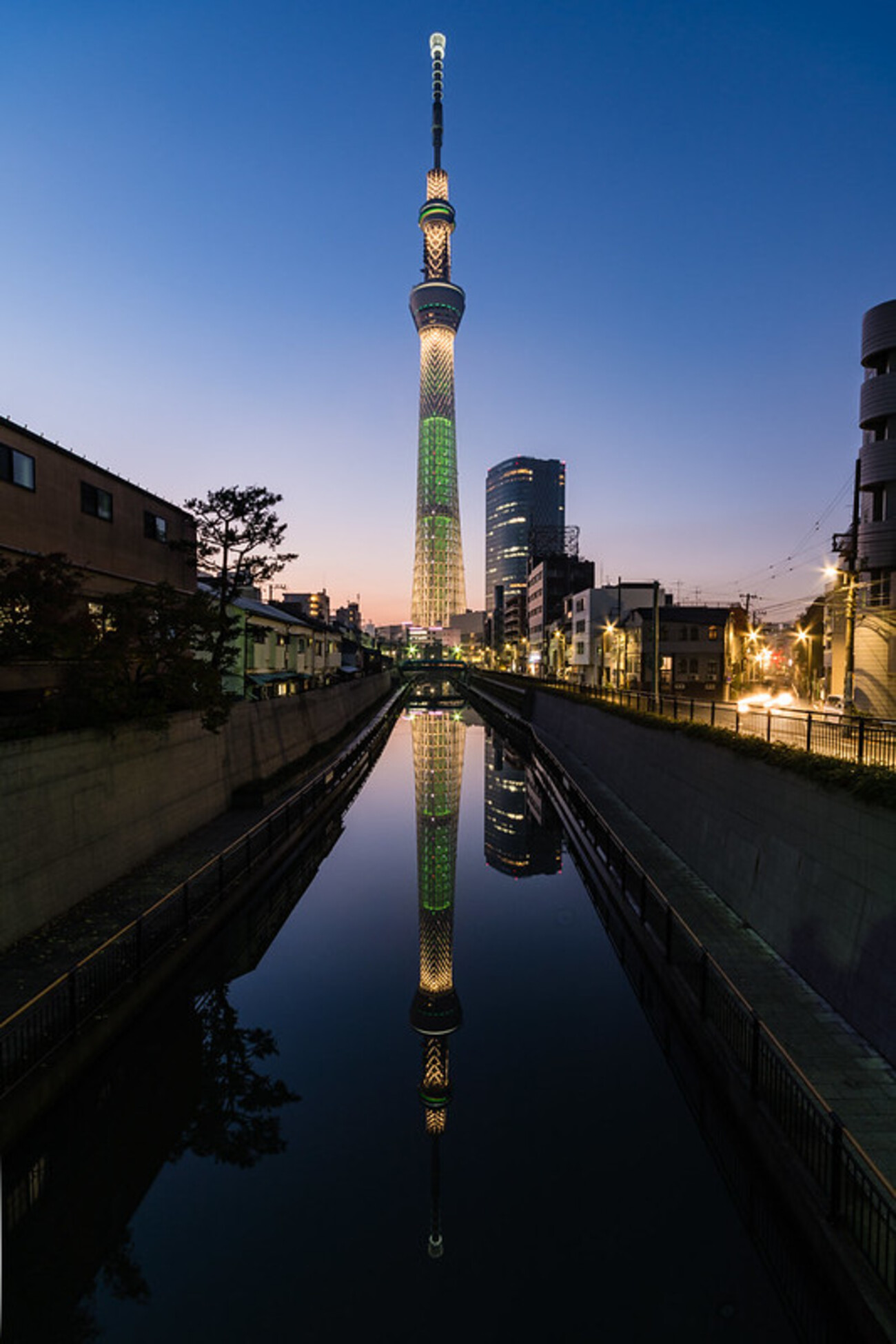 東京スカイツリータウン®の見どころを徹底紹介！東京スカイツリー®や東京ソラマチ®、水族館などの情報も免許と一緒に、タイムズクラブ