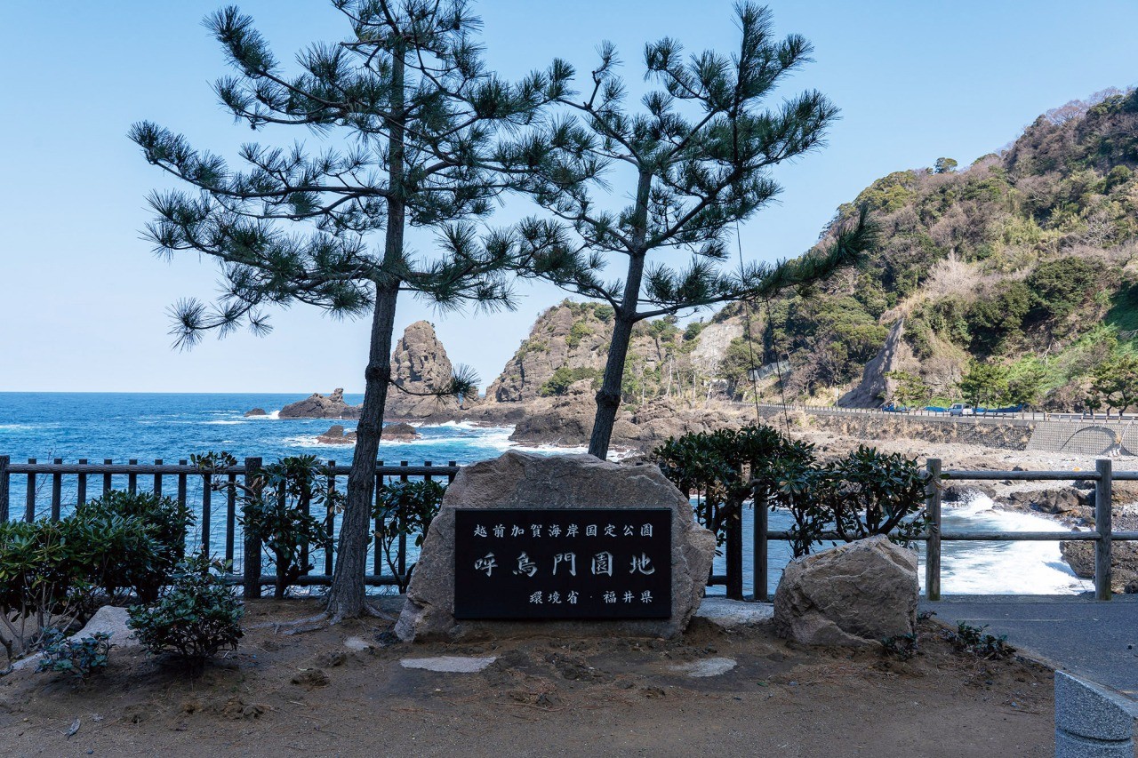 越前海岸「呼鳥門」「水仙廼社」～今週の花人気スポット? 社寺＆花 のブログ