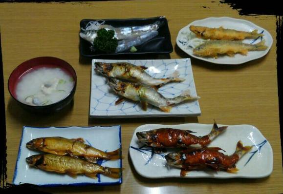 夏限定ヤナ岐阜県 揖斐 鮎料理 森前チトチトの美味しい話