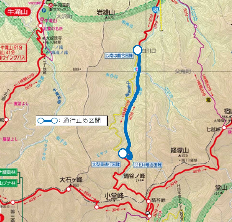 20200422 トトロ街道～紀見峠～鍋谷峠