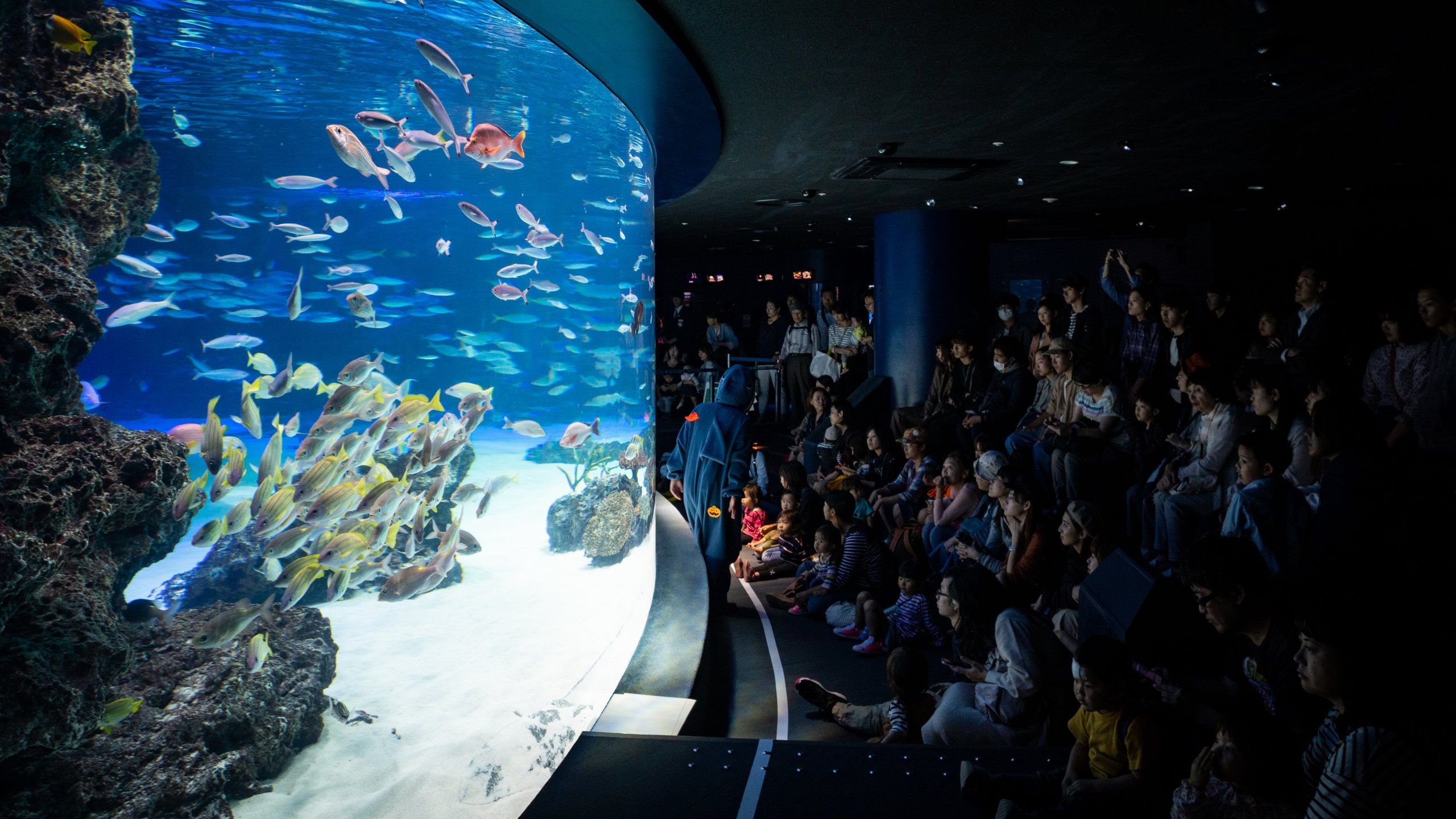 サンシャイン６０展望台！高さ239mの最上階にある展望台360@旅行ナビ