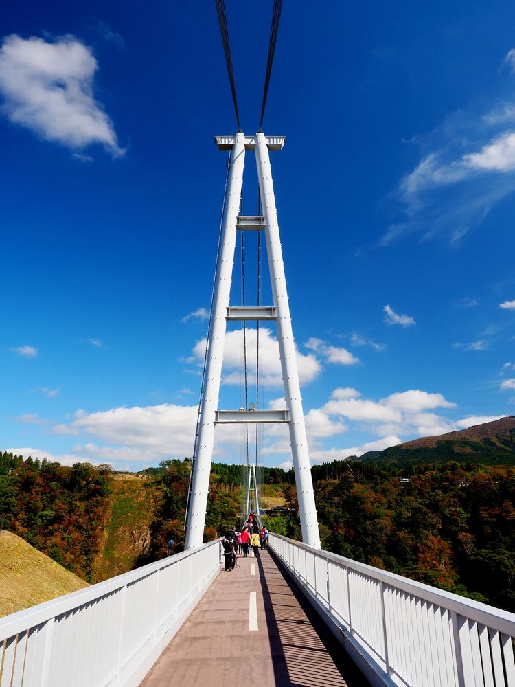 長さと高さで日本一、九重”夢”大吊橋一生楽しむ旅