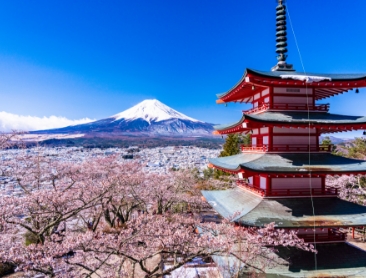 車で絶景の見える場所へ。関東・甲信越のおすすめドライブスポット12選 - TRiP