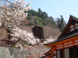 深秋のならを歩いて談山神社と大神神社』桜井・三輪・山の辺の道 奈良県 の旅行記・ブログ by